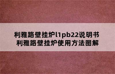 利雅路壁挂炉l1pb22说明书 利雅路壁挂炉使用方法图解